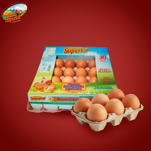 HUEVOS EXTRA GRANDES