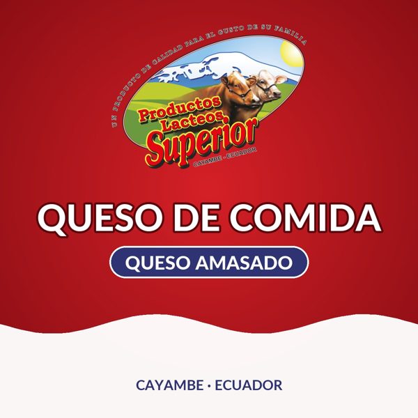 Queso de comida