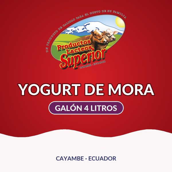 Yogurt de mora Galón